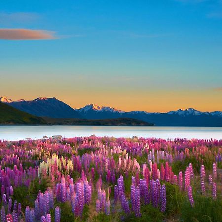 Lake Views At Antler Lodge Lake Tekapo Exterior foto