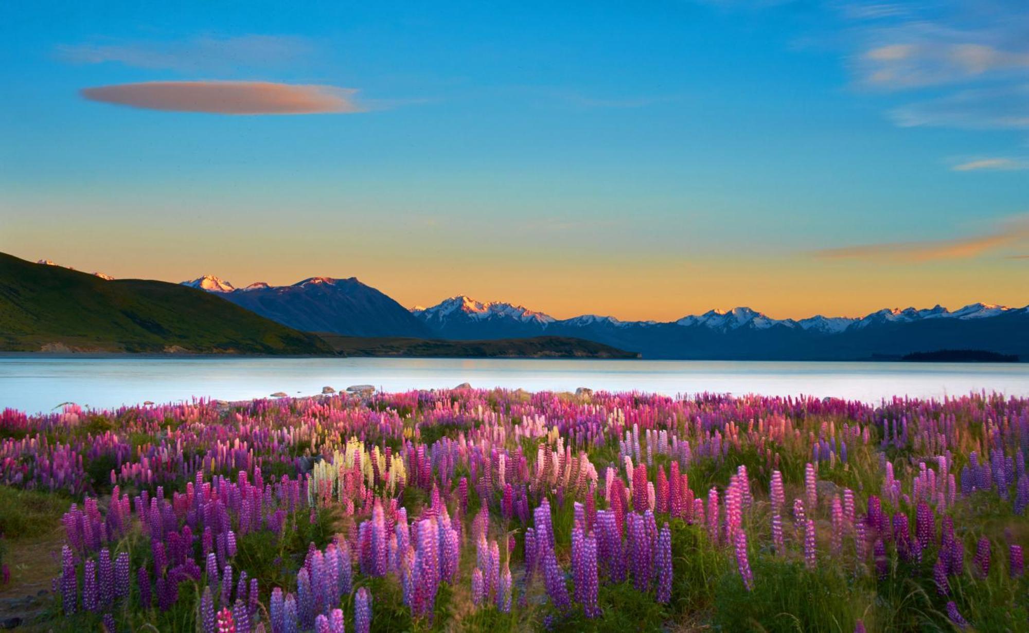 Lake Views At Antler Lodge Lake Tekapo Exterior foto
